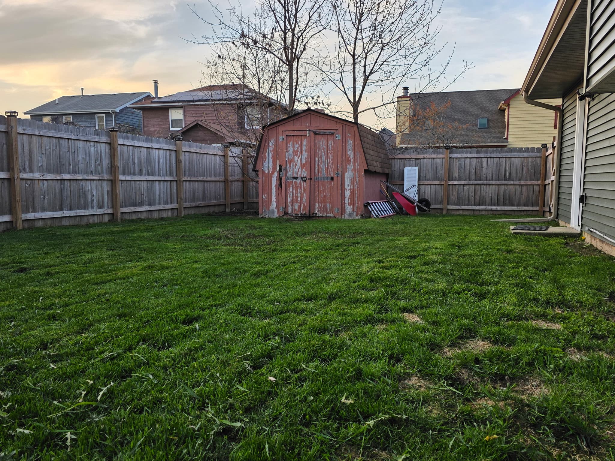 Lawn after service