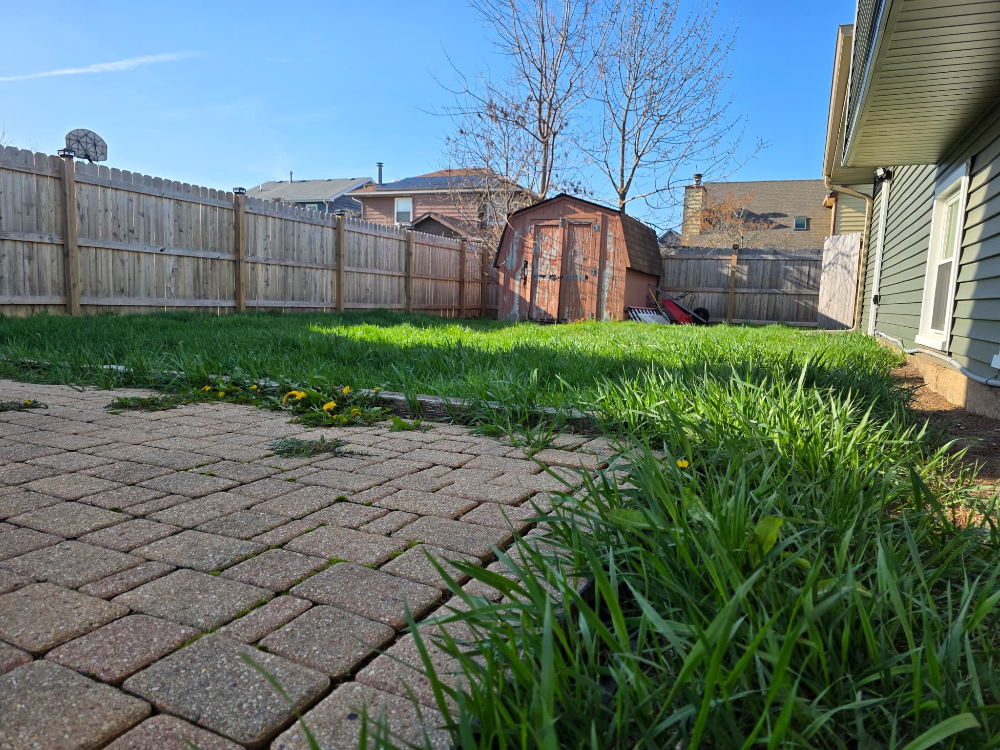 Lawn before service